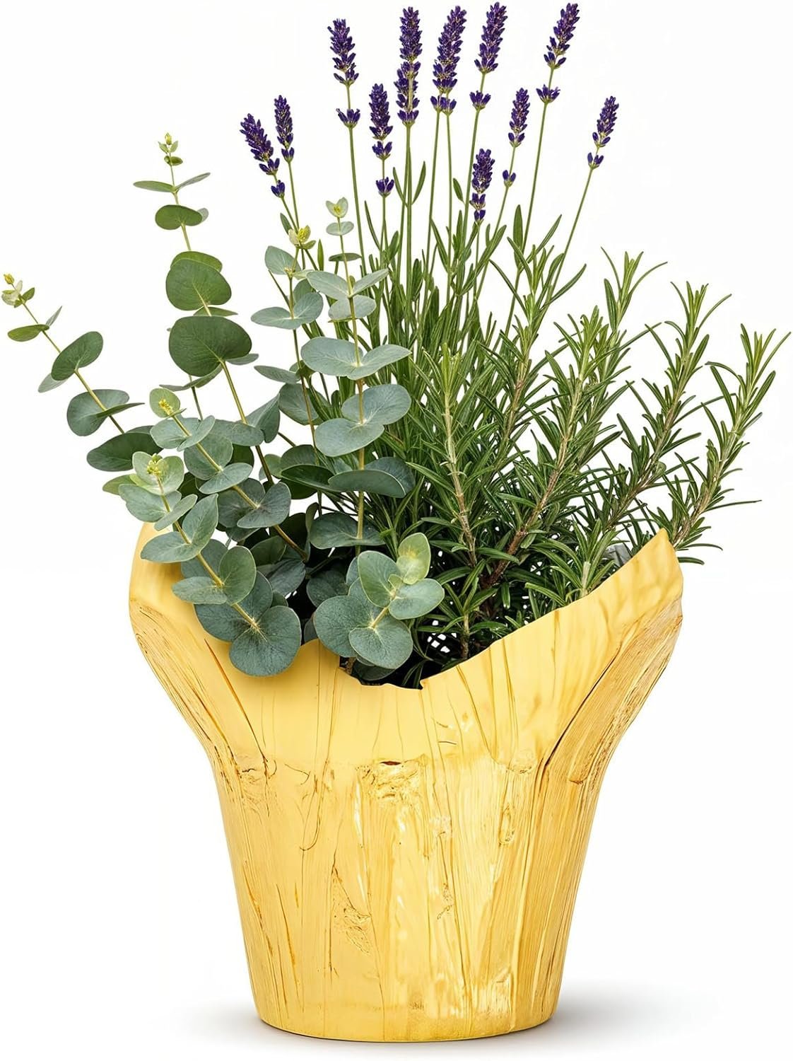 Live Aromatic and Healthy Herb Combo in Deco Cover – Air Purifier, Combo Includes Rosemary, Lavender, and Eucalyptus, 12″ Tall by 6″ Wide