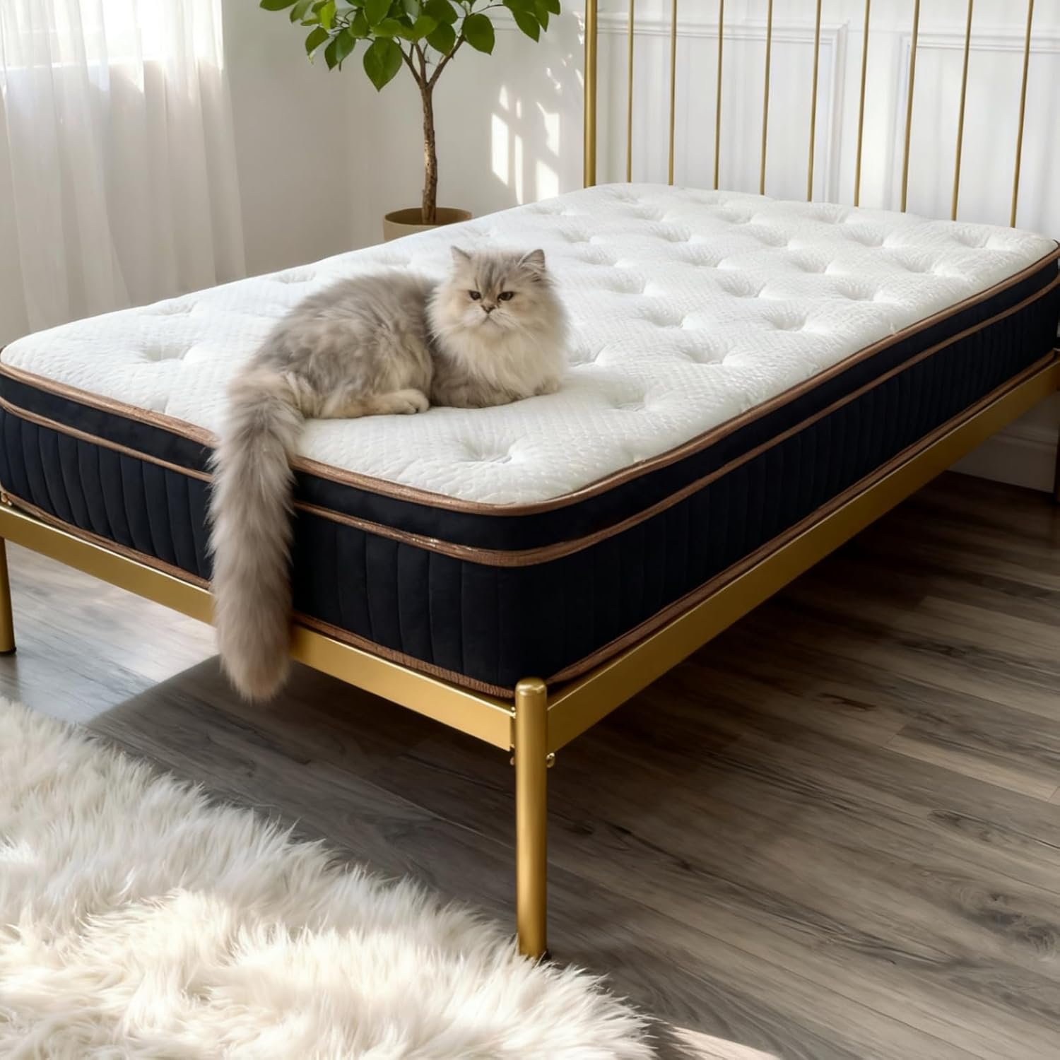 VINGLI 12 Inch Full Hybrid Memory Foam Mattress in a Box,Individually Wrapped Coils Pocket Spring for Motion Isolation/Pressure Relief, Strong Edge Support,Medium Firm,Fiberglass-Free,CertiPUR-US