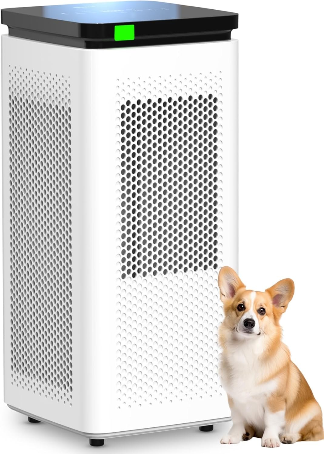 Air Purifiers for Home Large Rooms up to 3500 Ft², H13 True HEPA 0.1 Micron 99.97% Filtration with Carbon Filter, 235 CFM CADR, Removes Allergens, Pet Odor, Smoke, VOCs, 30dB Sleep Mode, PM2.5 Display