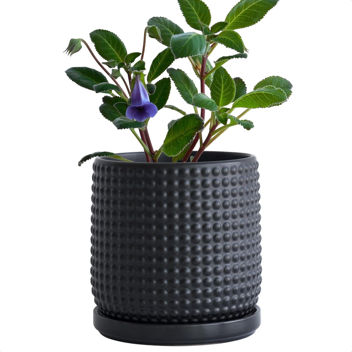 D’vine Dev 6 Inch Ceramic Beaded Stoneware Planter Pot – Flower Pot with Drainage Holes and Saucers for Indoor Succulent Plants or Flowers, Ebony Matte, 27-C-X-6